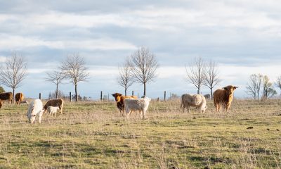 Mona Farm Joins The Luxury Network Australia