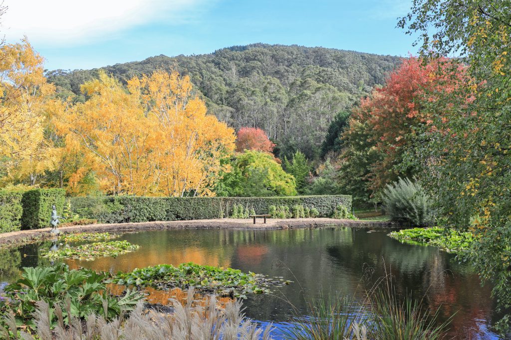 Tieve Tara: The Sparkling Jewel in Mt Macedon’s Crown