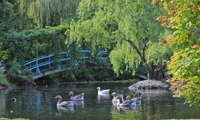 Tieve Tara: The Sparkling Jewel in Mt Macedon’s Crown