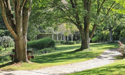 Tieve Tara: The Sparkling Jewel in Mt Macedon’s Crown