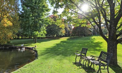 Tieve Tara: The Sparkling Jewel in Mt Macedon’s Crown