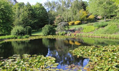 Tieve Tara: The Sparkling Jewel in Mt Macedon’s Crown