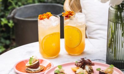 Cocktails & Canapés